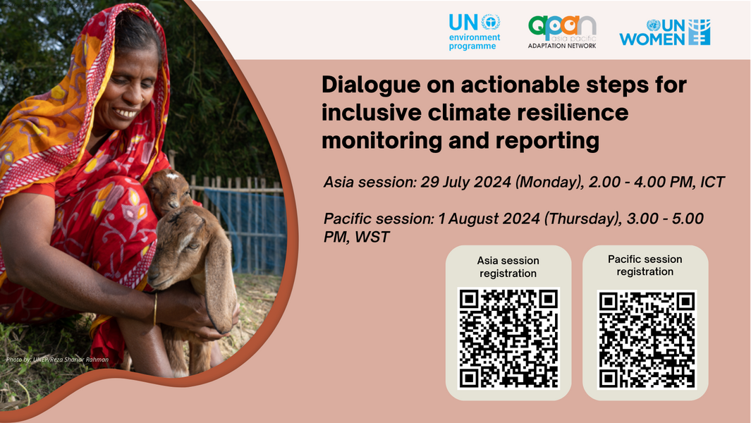 Webinar: Dialogue on actionable steps for inclusive climate resilience monitoring and reporting