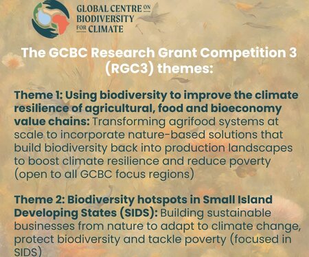 GCBC Grant Call: Third Research Grant Competition (RGC3) (Call Closed)