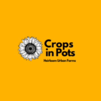 Crops in Pots (Learning Garden)