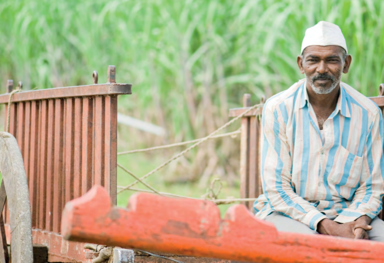 Bringing adaptive management to life: Insights from practice