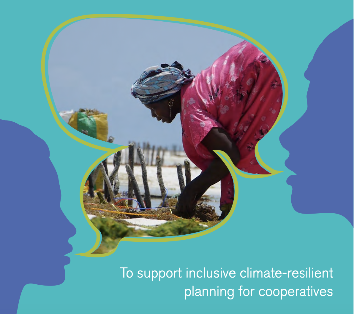 Front cover of report - female member of a seaweed cooperative engaged in harvesting her crop.