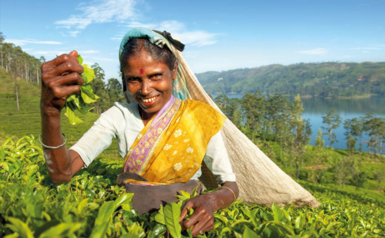 Unpacking Transformation: A framework and insights from adaptation mainstreaming