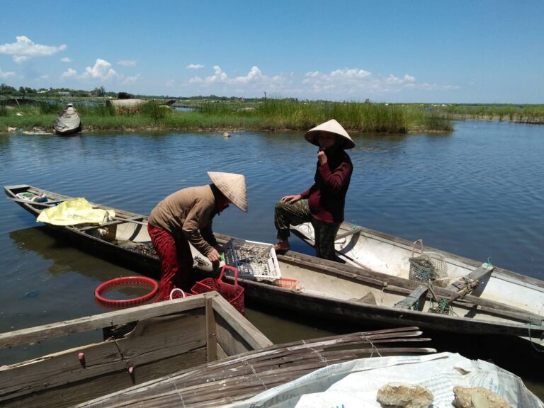 Strong roots, strong women: empowering women for community and coastal ecosystem resilience in central Vietnam