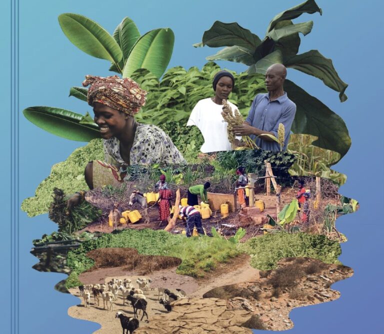 Locally-Led Adaptation: moving from principles to practice in the water sector