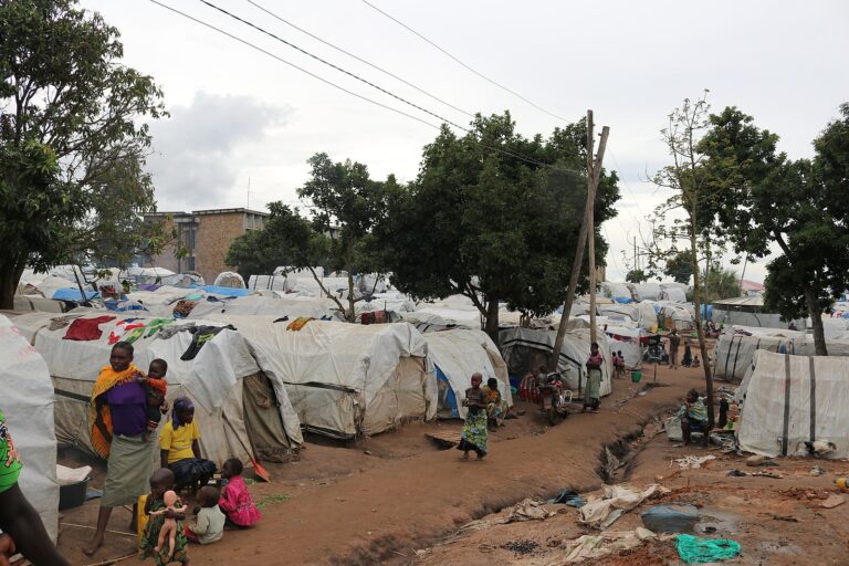 Climate-induced migration in the Global South: an in depth analysis