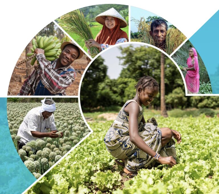 Enabling and financing locally-led adaptation (LLA)