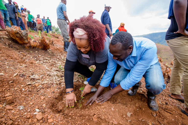 Beyond the bubbles: bridging divides for just climate action