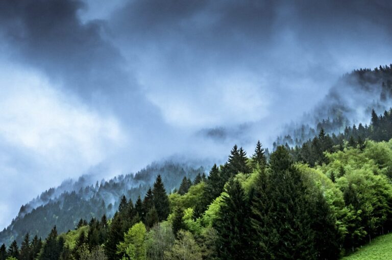 Unpacking what the ICJ’s advisory opinion means for climate and environmental action