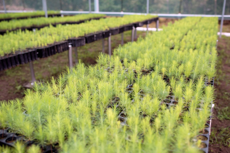 New year message from ARA Co-chairs