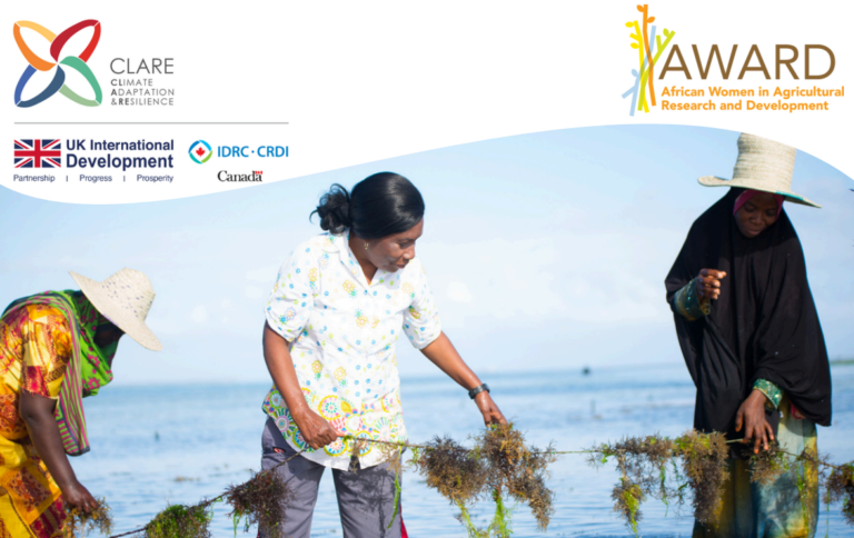 Accelerating African Women s Leadership in Climate Action Fellowship (Call Closed)