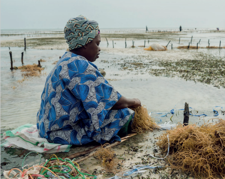 Revisi n de la evidencia de la ARA 2: Buenas pr cticas para la investigaci n-acci n