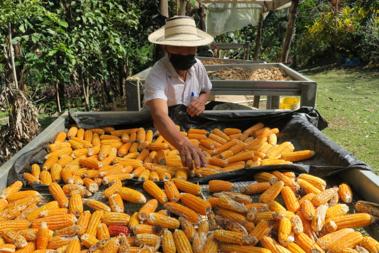 ARA Call: Video Production Services (Call Closed)