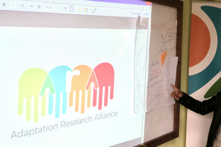 ARA Plenary Meeting Minutes – November 2023