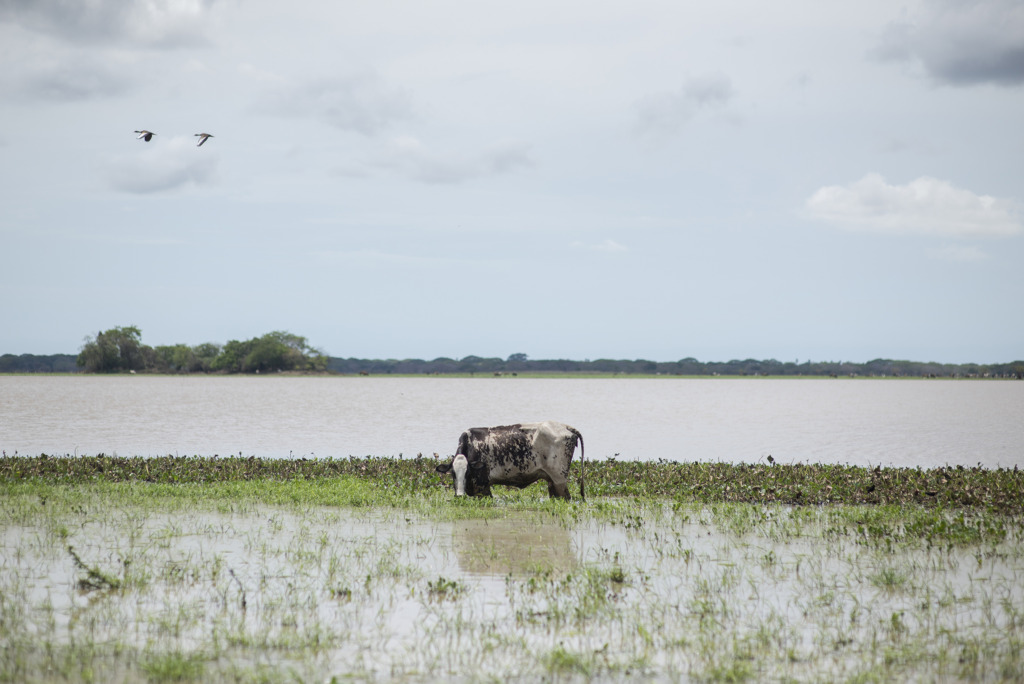 Critical Assessment of ARA’s Co-creation Spaces