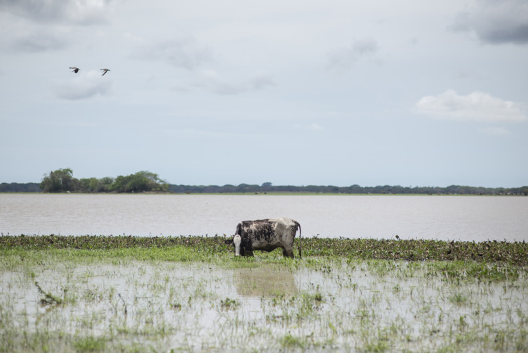 Critical Assessment of ARA’s Co-creation Spaces